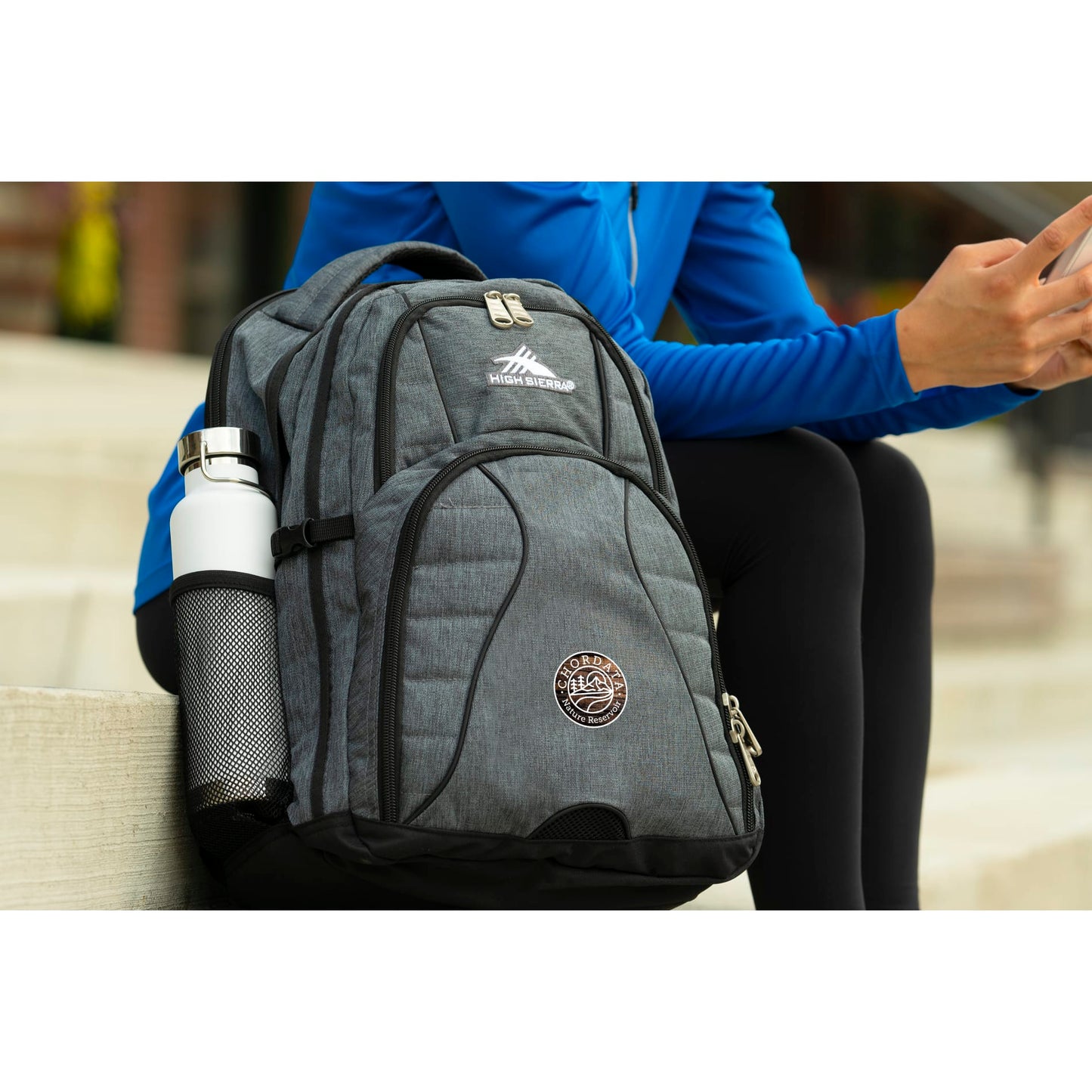 High Sierra Swerve 17" Computer Backpack