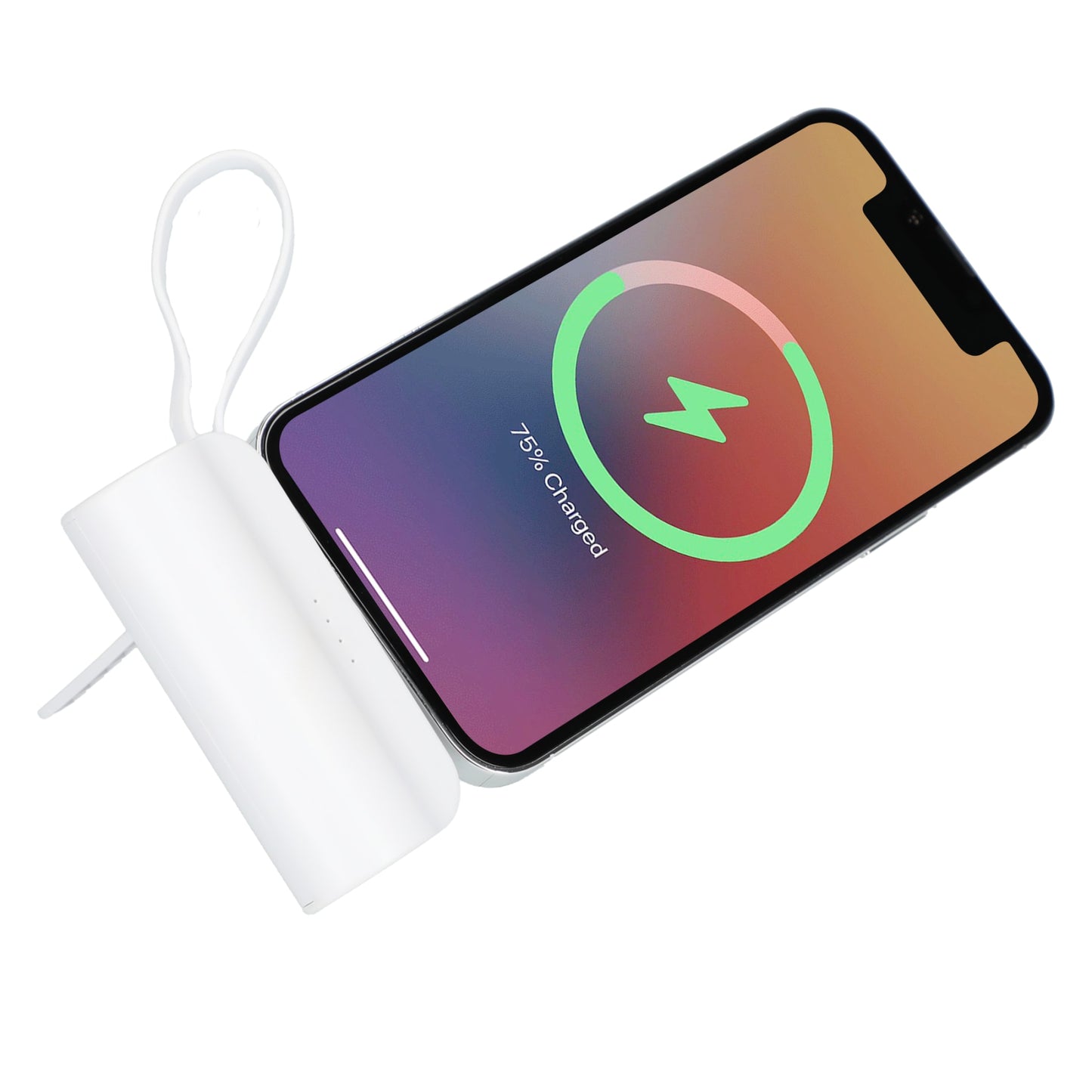 Hue 5000 mAh Power Bank with Multi Tips