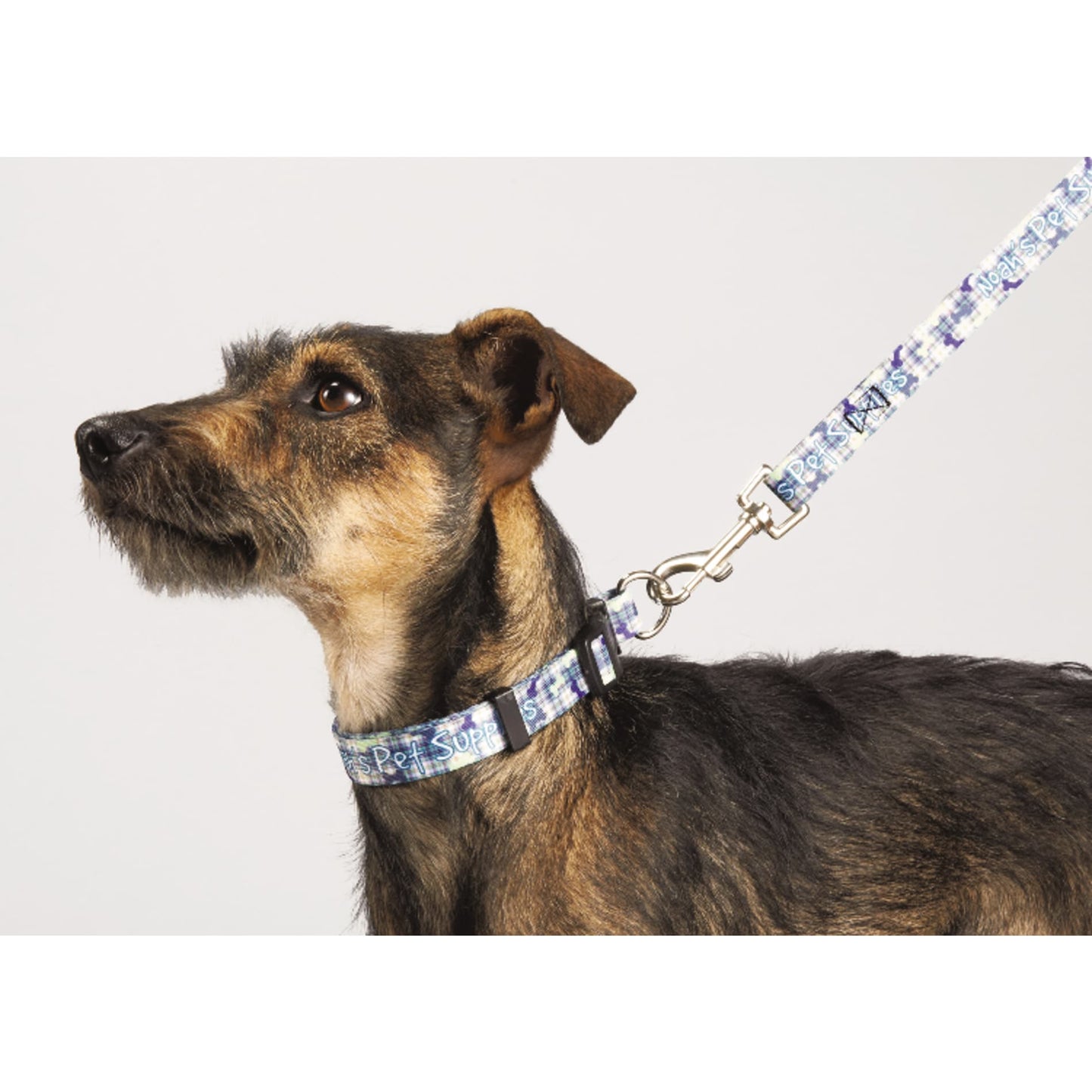 Full Color 3/4" Wide Premium Pet Leash